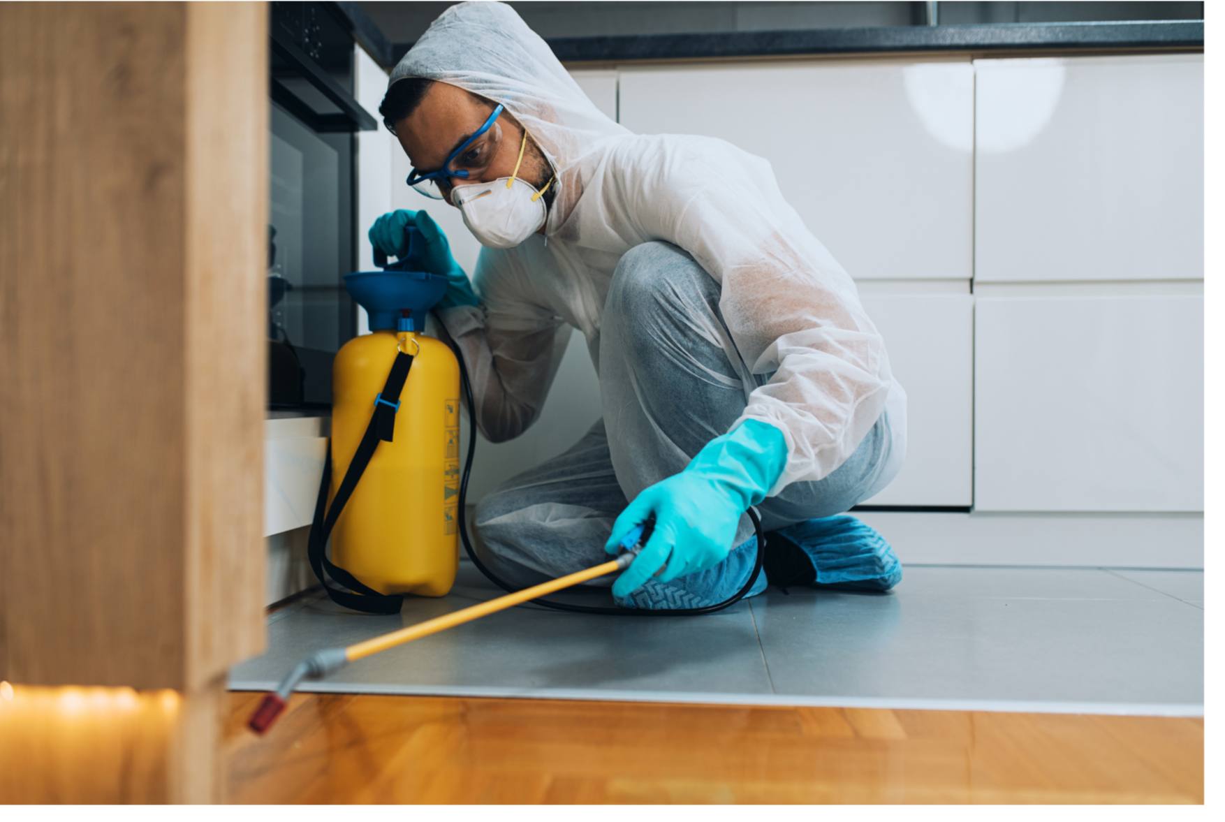 Photo: technician treating a patio in full PPE